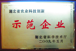示范企业 